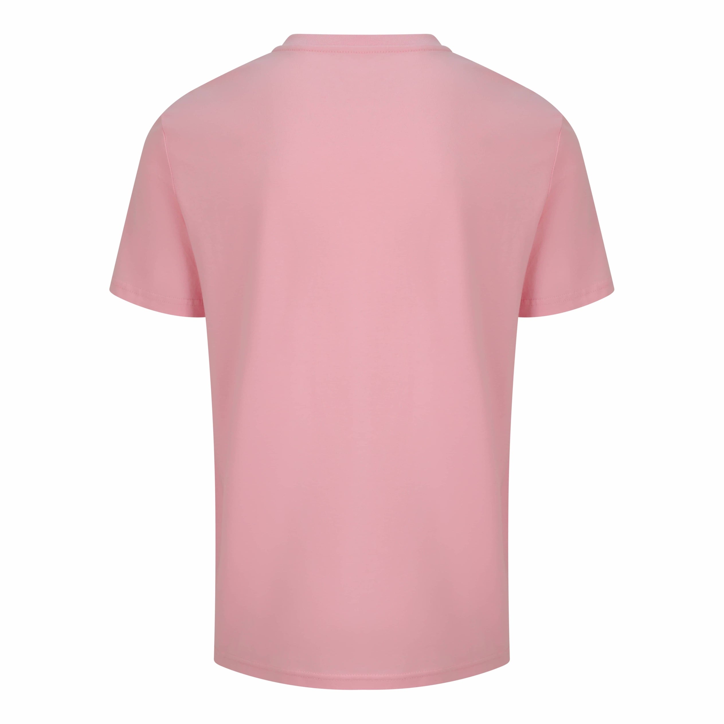Professional Overthinker Organic T-Shirt
